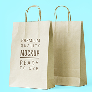 Paper Bag